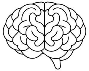 human brain line art stock illustration,brain line drwing