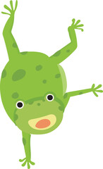 Cartoon jumping frog illustration on transparent background.
