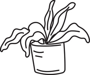 Hand drawn plant illustration on transparent background.
