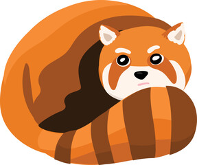 Cartoon cute red panda illustration on transparent background.
