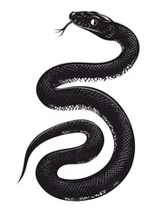 Fototapeta premium Snake silhouette, isolated mystic black snake on white background