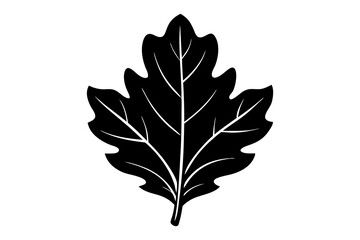 Silhouette, stencil of oak leaves.Vector graphics.