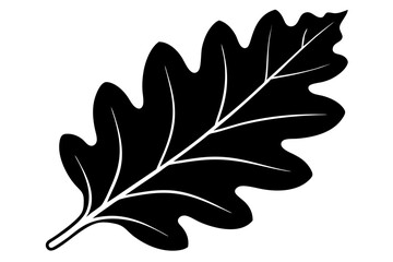Silhouette, stencil of oak leaves.Vector graphics.