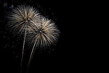 A Symphony of Light: Fireworks Exploding Against a Dark Night Sky