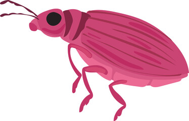 Cartoon bug illustration on transparent background.
