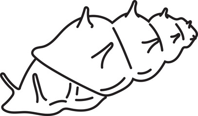 Cartoon snail hand drawn illustration on transparent background.
