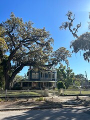 house in spring