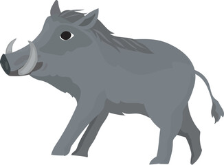 Cartoon boar illustration on transparent background.

