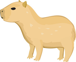 Cartoon capybara illustration on transparent background.
