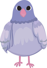 Cartoon cute purple bird illustration on transparent background.
