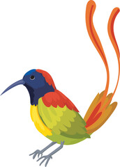 Cartoon drongo illustration on transparent background.
