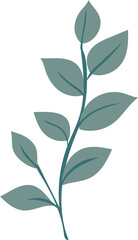 Leaf illustration on transparent background.
