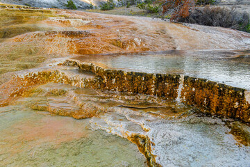 Mammoth Hot Spring