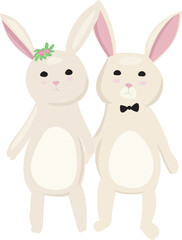 Cartoon cute rabbit couple illustration on transparent background.
