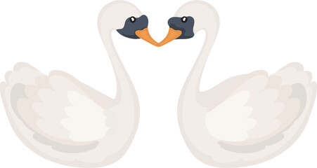 Cartoon cute duck couple illustration on transparent background.
