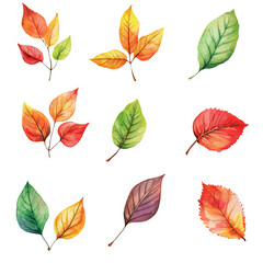 Obraz premium A collection of colorful leaves showcasing autumn hues and diverse shapes, perfect for nature-themed projects.