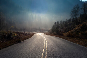 road in the fog