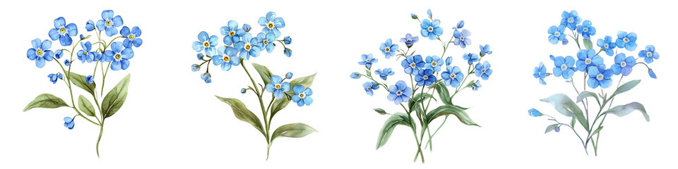 Fototapeta premium Beautiful clusters of delicate blue flowers, ideal for nature-themed designs or botanical illustrations.