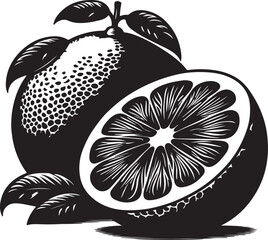 Orange slice and orange vector art