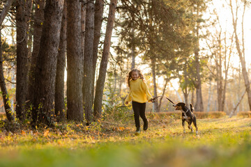 Fototapeta premium little teenage girl walks with her dog in the autumn in the forest