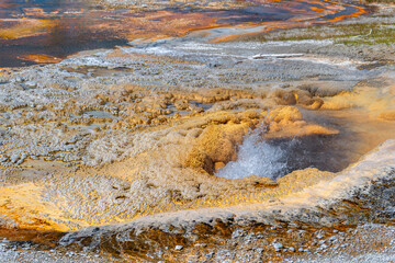 Yellowstone springs at the Yellowstone National Park