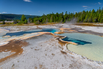 Yellowstone springs at the Yellowstone National Park