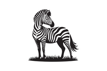 Zebra silhouette vector illustration, Zebra silhouette vector. Zebra silhouette