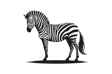 Zebra silhouette vector illustration, Zebra silhouette vector. Zebra silhouette