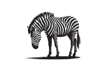 Zebra silhouette vector illustration, Zebra silhouette vector. Zebra silhouette