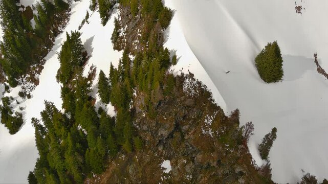 Aerial view of a snowy mountainside with pine trees. Patches of snow create an abstract winter landscape. British Columbia, Canada.
