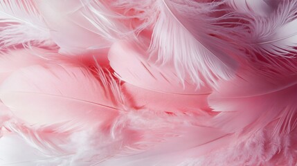 A beautiful abstract design featuring white and pink feathers against a black background. The soft texture of white feathers is layered over a pink pattern and background, with additional pink feather