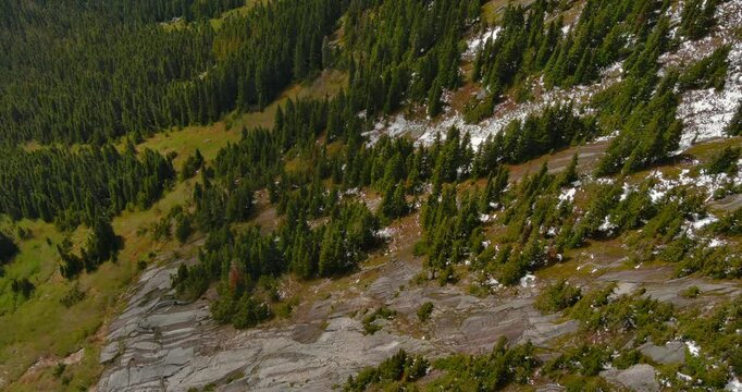 Drone footage flying over an alpine forest and mountain range. There are patches of snow on the ground and green grass and trees. British Columbia, Canada.