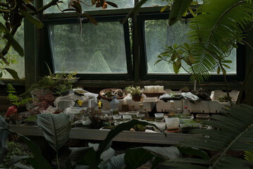 Fototapete bei efototapeten.de bestellen   