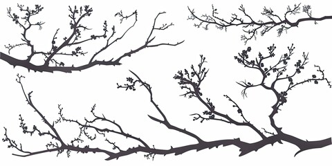 Fototapeta premium branches collection silhouette isolated on white background