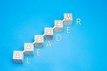 Organizational leadership concepts of large, complex systems social communication cooperation working together Project leadership personnel management