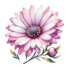 Obraz premium Pink purple flower daisy shiny sparkling clip art transparent background, floral cutout png