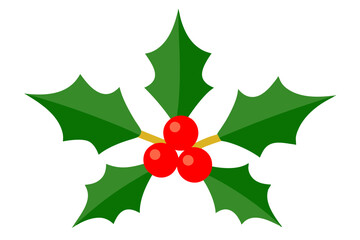 Christmas holly berry vector illustration