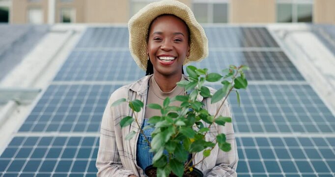 Happy, black woman and farmer with plant or solar panel for eco friendly and sustainable future in city. Portrait, young African or female person with renewable energy for natural growth in Jamaica