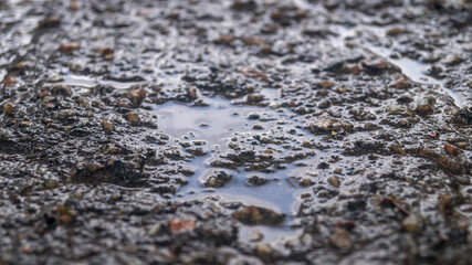Wet asphalt surface with small puddles. Asphalt in the rain