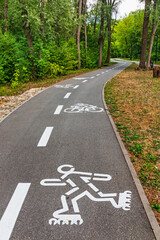 Obraz premium A bicycle path in a picturesque park or forest with deciduous trees. White markings with a symbol of a cyclist and roller skates