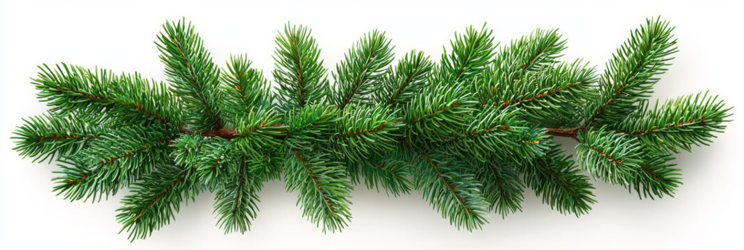 A lush garland of pine branches isolated on a white background.
