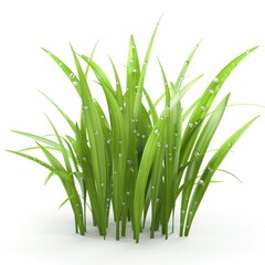Obraz premium a 3D Japanese grass with dew drops, fresh look, green blades with water droplets, isolated on white background