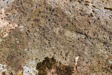 An image of a stone surface covered with moss and lichen, texture.