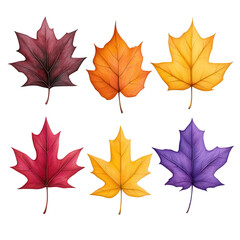 A collection of colorful autumn leaves showcasing different hues and textures, perfect for seasonal decorations.