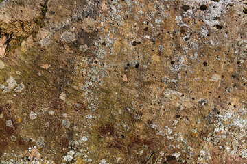 An image of a stone surface covered with moss and lichen, texture.