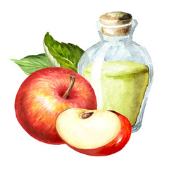Apple essential oil.  Hand drawn watercolor illustration, isolated on white background