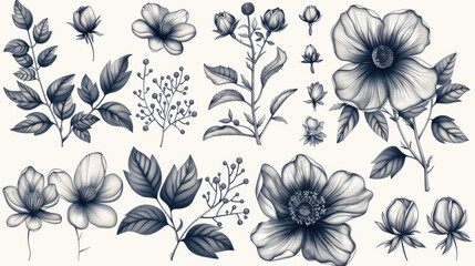 Fototapeta premium Beautifully hand-drawn vector floral elements, with flowers, leaves, and branches for elegant design compositions.
