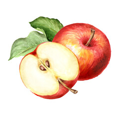 Red sweet Apple fruits with green leaves. Hand drawn watercolor illustration isolated on white background