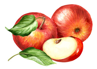 Red sweet Apples, Hand drawn watercolor illustration  isolated on white background © dariaustiugova