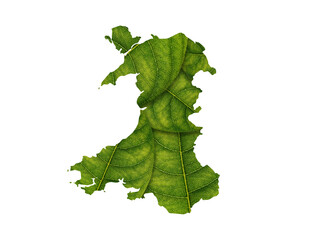 England map made of green leaves  ecology concept

